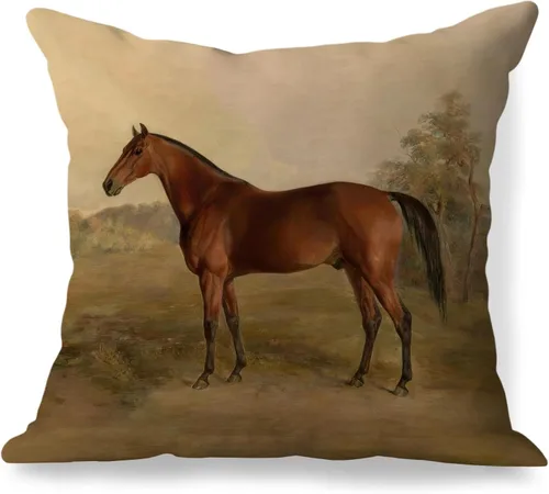 Fundas de almohada vintage de 18 x 18 pulgadas, regalos para amantes de los caballos, regalos ecuestres, fundas de almohada decorativas de granja