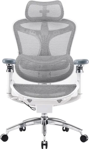 SIHOO Doro C300 Pro - Silla de oficina ergonómica con reposabrazos 6D ultra suaves, soporte lumbar dinámico, ajuste de profundidad del asiento Gris