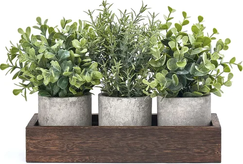 Dahey - Juego de 3 plantas artificiales en miniatura en maceta de eucalipto con bandeja de madera, centro de mesa, decoración de mesa, macetas de